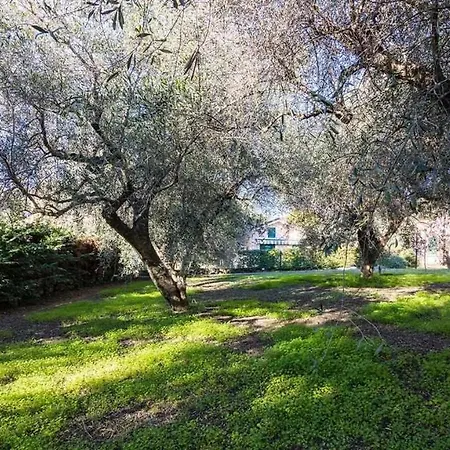 Villa Idromassaggio 5 Stelle 3 Bed Barbecue Parking Diano Marina