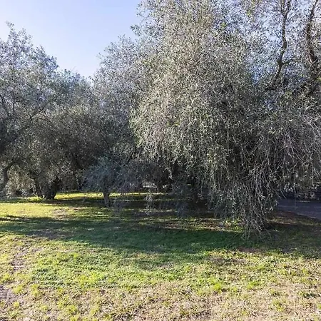 Villa Idromassaggio 5 Stelle 3 Bed Barbecue Parking Diano Marina