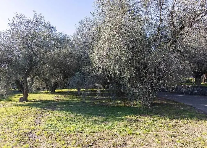 Villa Idromassaggio 5 Stelle 3 Bed Barbecue Parking Diano Marina