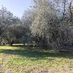 Villa Idromassaggio 5 Stelle 3 Bed Barbecue Parking Diano Marina